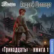 Постер книги Тринадцать