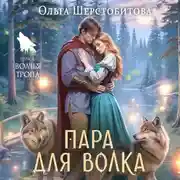 Постер книги Пара для волка