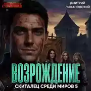 Постер книги Скиталец: Возрождение