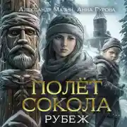 Постер книги Полет сокола. Рубеж
