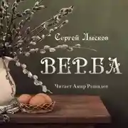 Постер книги Верба
