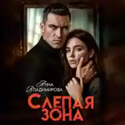 Постер книги Слепая зона