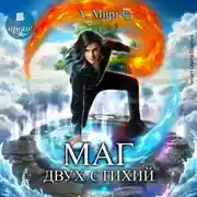 Постер книги Маг двух стихий