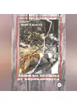 Иван Карасёв - Записки беглеца от коронавируса