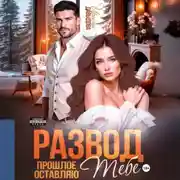 Постер книги Развод. Прошлое оставляю тебе