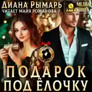 Постер книги Подарок под елочку