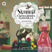 Постер книги Убийца в домашних тапочках