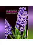 Виктория Зонова - Гиацинты. Лучшие сорта