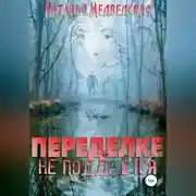 Постер книги Переделке не поддаётся