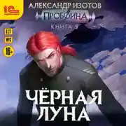 Постер книги Пробоина. Книга 5. Чёрная луна