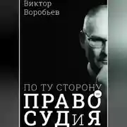 Постер книги По ту сторону ПравоСудиЯ