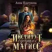 Постер книги Институт будущих магисс