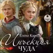 Постер книги Инъекция чуда