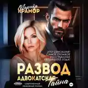 Постер книги Развод. Адвокатская тайна