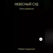 Постер книги Небесный суд