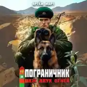 Постер книги Пограничник. Том 12: Меж двух огней
