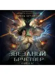 Юрий Тарарев - Звездный бруствер. Бойцы времени. Книга 12