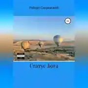 Постер книги Статус бога