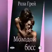 Постер книги Молодой начальник