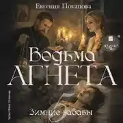 Постер книги Ведьма Агнета. Зимние забавы