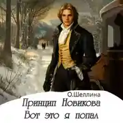 Постер книги Принцип Новикова. Вот это я попал