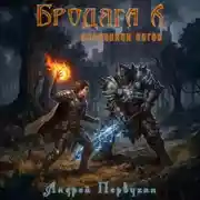 Постер книги Бродяга Посланник богов