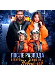Алла Ларина - После развода. Вернуть семью на Новый год