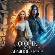 Постер книги Огонек для ледяного мага