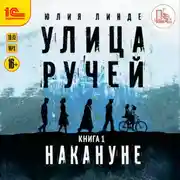 Постер книги Улица Ручей. Книга 1. Накануне