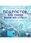 Константин Садоведов - Подросток, или Теория разбитых стёкол