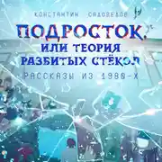 Постер книги Подросток, или Теория разбитых стёкол