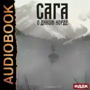 Постер книги Сага о Кае Эрлингссоне. Книга 4. Сага о диком норде