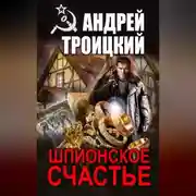 Постер книги Шпионское счастье