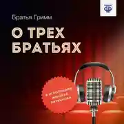 Постер книги О трех братьях
