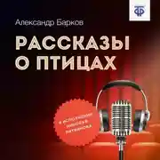Постер книги Рассказы о птицах