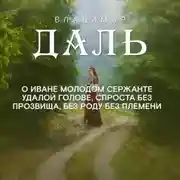 Постер книги Сказка об Иване Молодом сержанте, удалой голове