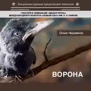 Постер книги Ворона