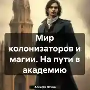 Постер книги Мир колонизаторов и магии. На пути в академию