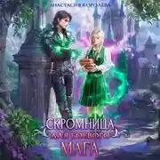 Постер книги Скромница для боевого мага