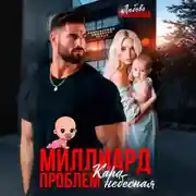 Постер книги Миллиард проблем. Кара небесная