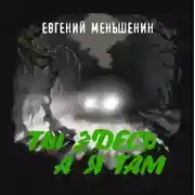 Постер книги Ты здесь, а я там