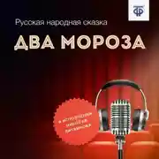 Постер книги Два Мороза