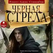 Постер книги Чёрная стрела