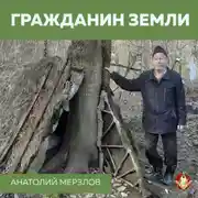 Постер книги Гражданин Земли