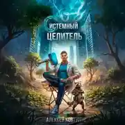 Постер книги Системный целитель 4