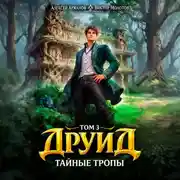 Постер книги Друид. Том 3. Тайные тропы