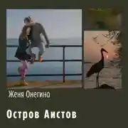 Постер книги Остров аистов