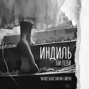 Постер книги Индиль