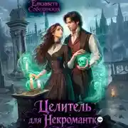 Постер книги Целитель для некромантки