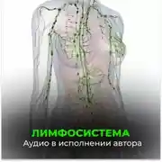 Постер книги Лимфосистема